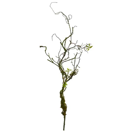 24in. Moss Twig Vine Plant, 6ct.